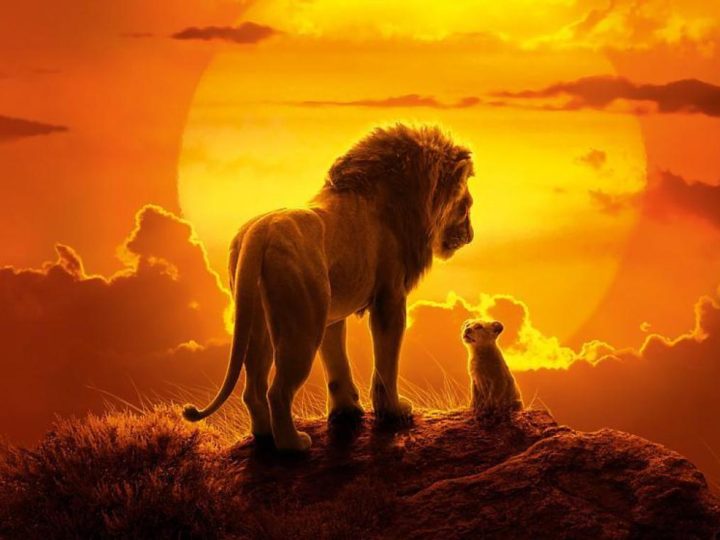 Le Roi Lion de Jon Favreau